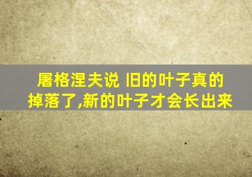 屠格涅夫说 旧的叶子真的掉落了,新的叶子才会长出来